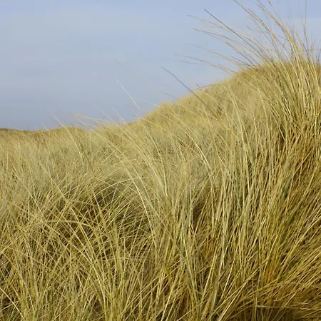 Kiekin Apartmán Wenningstedt-Braderup